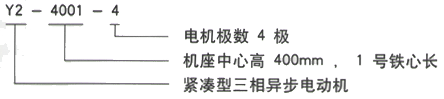 YR系列(H355-1000)高压YKS5003-6三相异步电机西安西玛电机型号说明